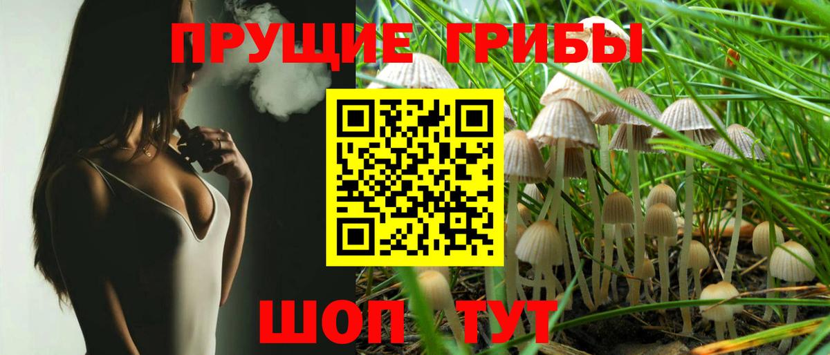 Галлюциногенные грибы Cubensis  Вход с VPN  Шадринск 